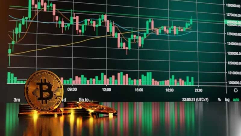 Crypto30x.com Gigachad